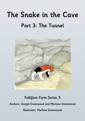 The Snake in the Cave: The Tunnel Part 3 - Follifoot Farm Series 3 3 (Paperback)