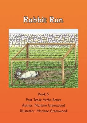 Rabbit Run (Paperback)