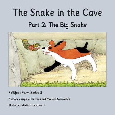 The Big Snake: Part 2 - The Snake in the Cave 2 (Paperback)