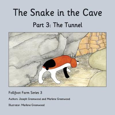The Tunnel: Part 3 - The Snake in the Cave 3 (Paperback)