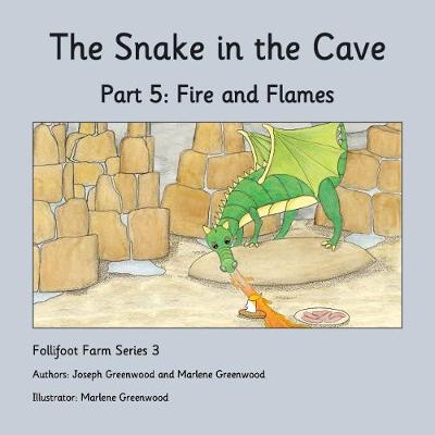 Fire and Flames - The Snake in the Cave 5 (Paperback)