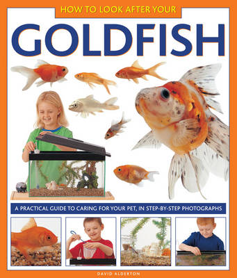 How to Look After Your Goldfish (Hardback)