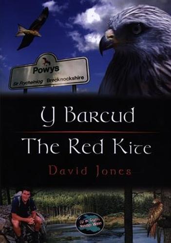 Cyfres Cip ar Gymru / Wonder Wales: Barcud, Y / Red Kite, The (Paperback)