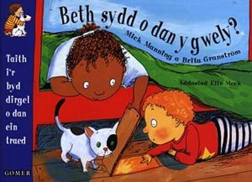 Beth sydd o dan y Gwely? (Llyfr Mawr) (Paperback)