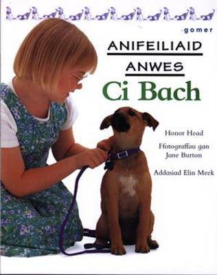 Ci Bach - Cyfres Anifeiliaid Anwes (Paperback)