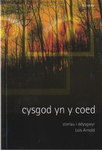 Cysgod yn y Coed - Storiau i Ddysgwyr (Paperback)
