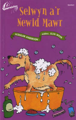 Selwyn A'r Newid Mawr - Cyfres Gwreichion (Paperback)