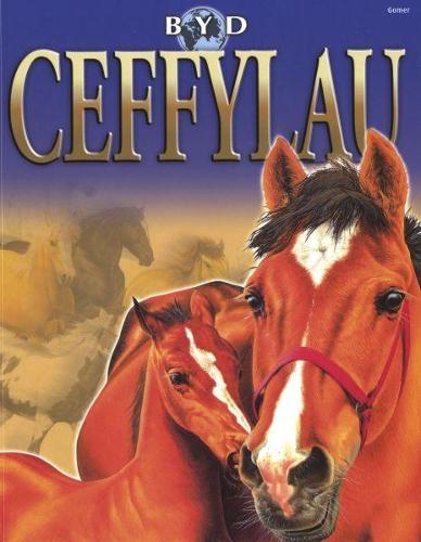 Byd Ceffylau (Paperback)