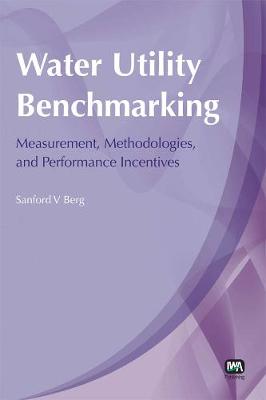 Water Utility Benchmarking (Paperback)
