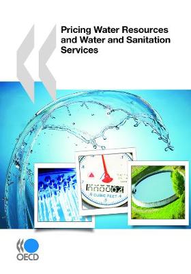 Pricing Water Resources and Water and Sanitation Services - OECD Report Series (Paperback)