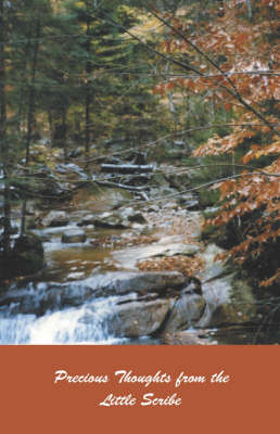 Precious Thoughts from the Little Scribe (Paperback)
