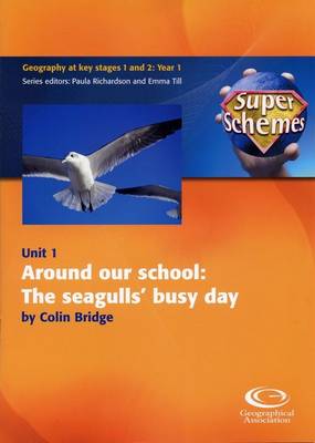 Around Our School: The Seagulls' Busy Day - Super Schemes S. 1