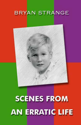 Scenes From an Erratic Life (Paperback)