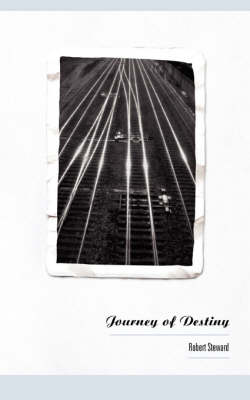 Journey of Destiny (Paperback)