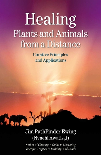 Healing Plants and Animals from a Distance: Curative Principles and Applications (Paperback)