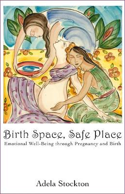 Birth Space, Safe Place: Emotional Well-Being Through Pregnancy and Birth (Paperback)