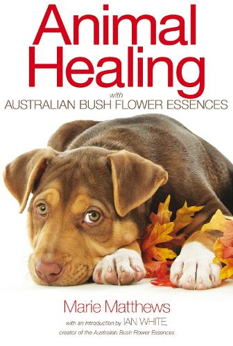 Animal Healing with Australian Bush Flower Essences (Paperback)