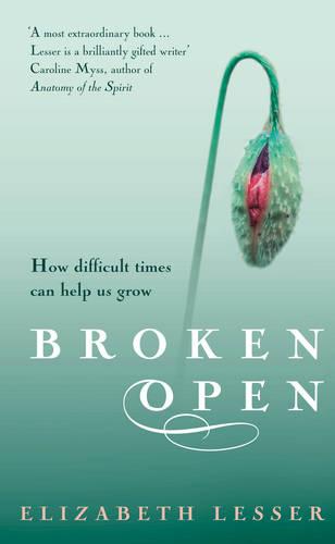 Cover of the book Broken Open