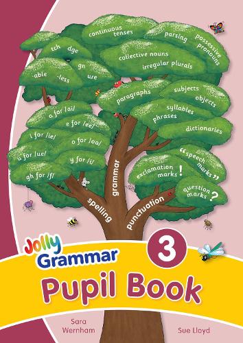 Grammar 3 Pupil Book: in Precursive Letters (BE) (Paperback)
