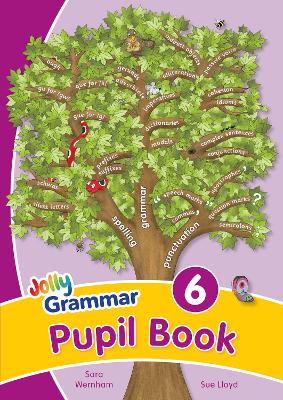 Grammar 6 Pupil Book: In Precursive Letters (British English edition) (Paperback)