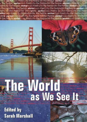 The World as We See it (Paperback)