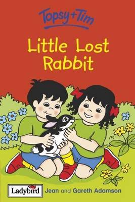 Little Lost Rabbit - Topsy & Tim No. 33 (Hardback)