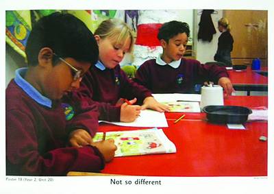 Badger Citizenship and PSHE Posters - Badger Citizenship and PSHE