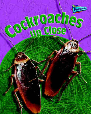 Cockroaches Up Close - Raintree Perspectives: Minibeasts Up Close (Paperback)