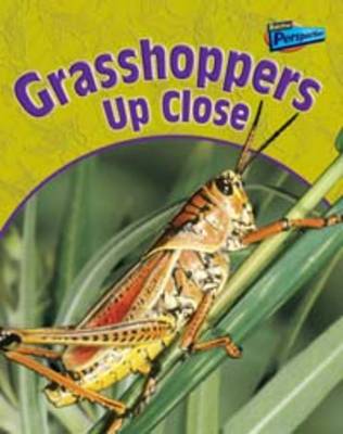 Grasshoppers Up Close - Raintree Perspectives: Minibeasts Up Close (Paperback)