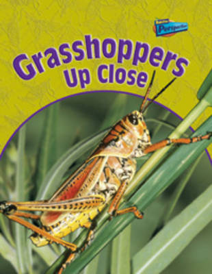 Minibeasts Up Close: Pack B of 6 - Raintree Perspectives: Minibeasts Up Close (Paperback)