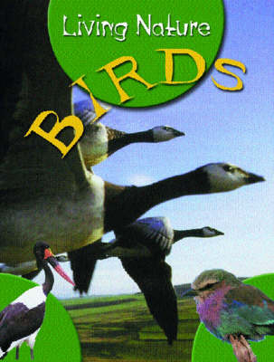 JR NATURE GUIDES BIRDS (Paperback)
