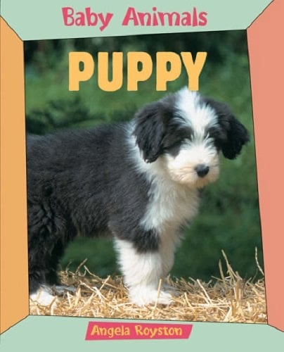 Baby Animals Puppy (Paperback)
