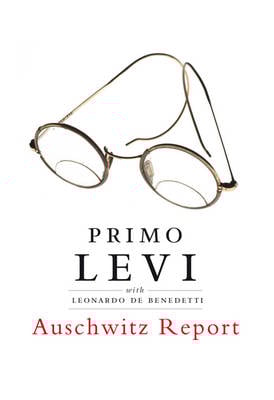 Auschwitz Report (Hardback)
