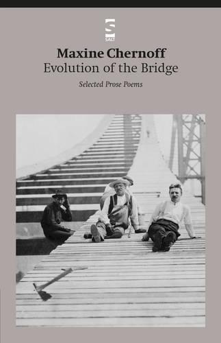 Evolution of the Bridge: Selected Prose Poems - Salt Modern Poets (Paperback)
