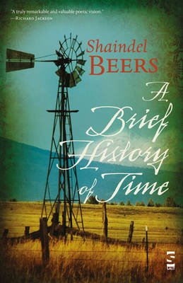 A Brief History of Time - Salt Modern Poets (Paperback)