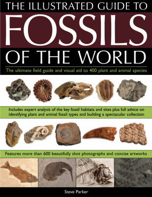 Illustrated Guide to the Fossils of the World: A Full-colour Directory and Identification Aid to Over 250 Plant and Animal Fossils (Paperback)