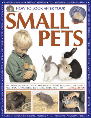 How to Look After Your Small Pets: An Owner's Guide to Caring for Rabbits, Guinea Pigs, Hamsters, Gerbils and Jirds, Chinchillas, Rats, Mice, Birds and Fish (Paperback)