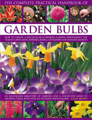 Complete Practical Handbook of Garden Bulbs (Paperback)