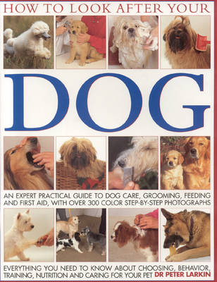 How to Look After Your Dog: An Expert Practical Guide to Dog Care, Grooming, Feeding and First Aid (Paperback)
