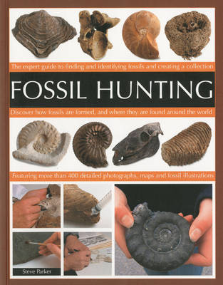 Fossil Hunting (Paperback)