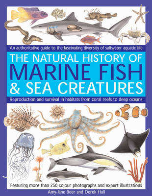 Marine Fish: An Authoritative Guide to the Fascinating Diversity of Saltwater Aquatic Life (Paperback)