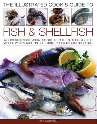 Illustrated Cook's Guide to Fish and Shellfish (Paperback)