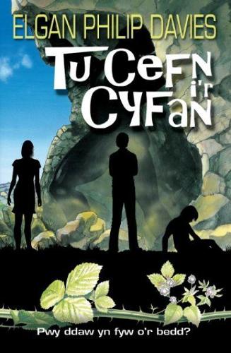 Tu Cefn i'r Cyfan (Paperback)