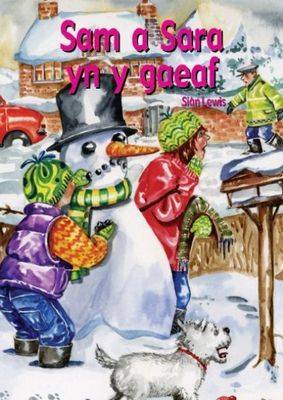 Cyfres Hwyl Drwy'r Flwyddyn: Sam a Sara yn y gaeaf (Llyfr Mawr) (Paperback)