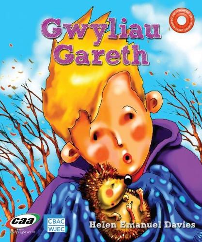 Pen-i-Waered: Anifeiliaid Anwes/Gwyliau Gareth (Paperback)