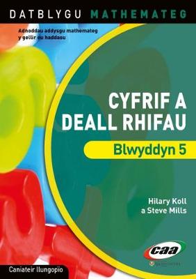 Datblygu Mathemateg: Cyfrif a Deall Rhifau Blwyddyn 5 (Paperback)