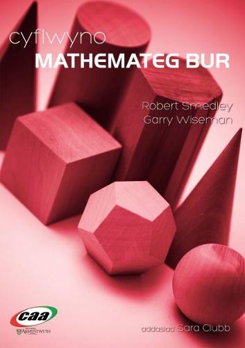 Cyflwyno Mathemateg Bur (Paperback)