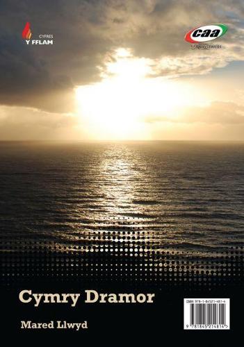 Cyfres y Fflam: Cymry Dramor/Gadael (Paperback)