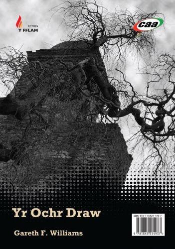 Cyfres y Fflam: Yr Ochr Draw/Yr Eneth Gadd ei Gwrthod (Paperback)