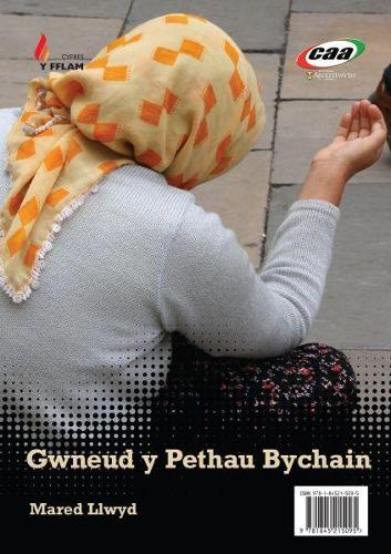 Cyfres y Fflam: Gwneud y Pethau Bychain / Dail Crin (Paperback)